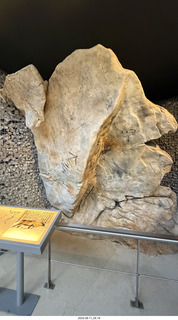 45 a2y. Spain - Museo de Altamira