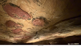 53 a2y. Spain - Museo de Altamira - primitive caves reproduction