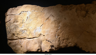 61 a2y. Spain - Museo de Altamira - primitive caves reproduction