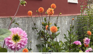 142 a2y. Spain - eclipse town flower
