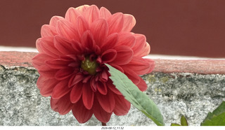 144 a2y. Spain - eclipse town flower