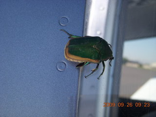 Casa Grande (CGZ) fly-in breakfast - beetle on n8483r